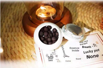 Xi Ji Pill (Navel Therapy Incense Pellets) – Whole-Body Balancing Formula