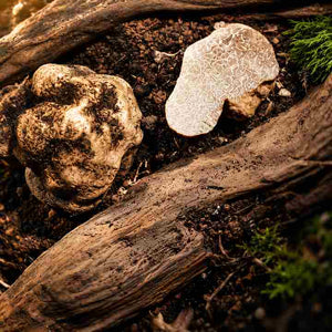 Calmenso Italian White Truffle Luxury Face Cream