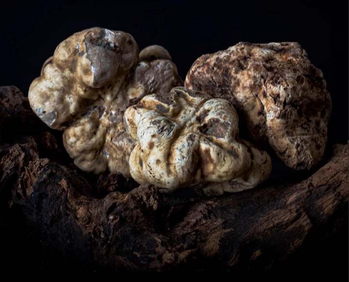 Global Ultra-Luxe Grade Raw Materials