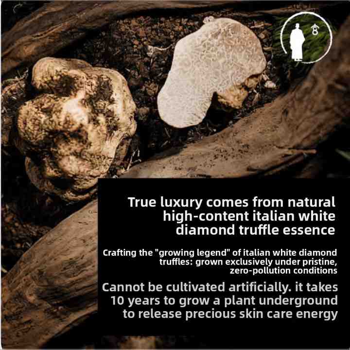 Million-Grade Luxury Facial Cream
Global Truffle Luxury Blended with Ancient Oriental Skincare Wisdom