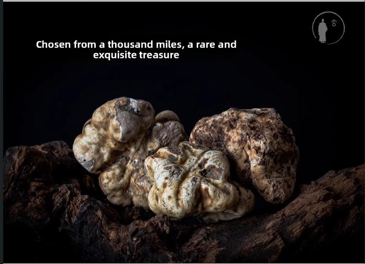 Reveal luxurious skincare potency. Each rare plant matures underground for ten years.