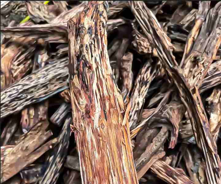 Sourced from rare Eastern botanicals, it delivers thoughtful nurturing for your skin.