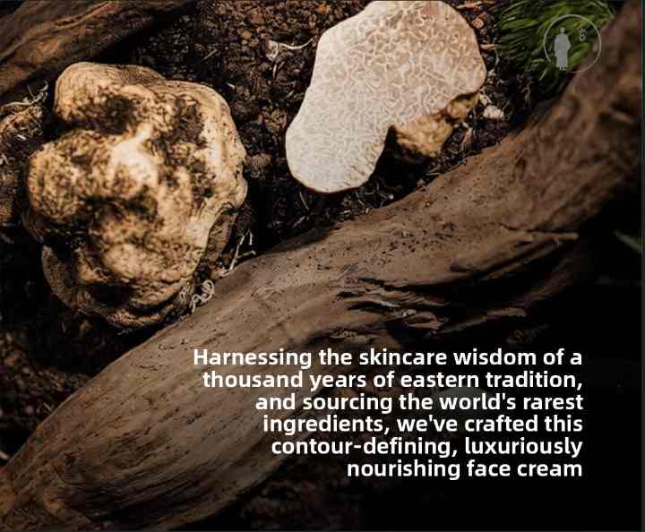 The Creation of This Contour Defining Luxury Nourishing Cream